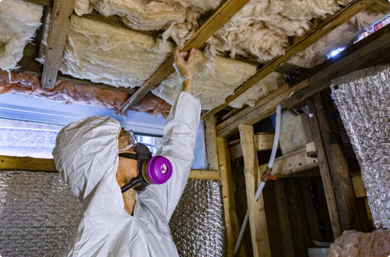 An experienced technician checking insulation for mold