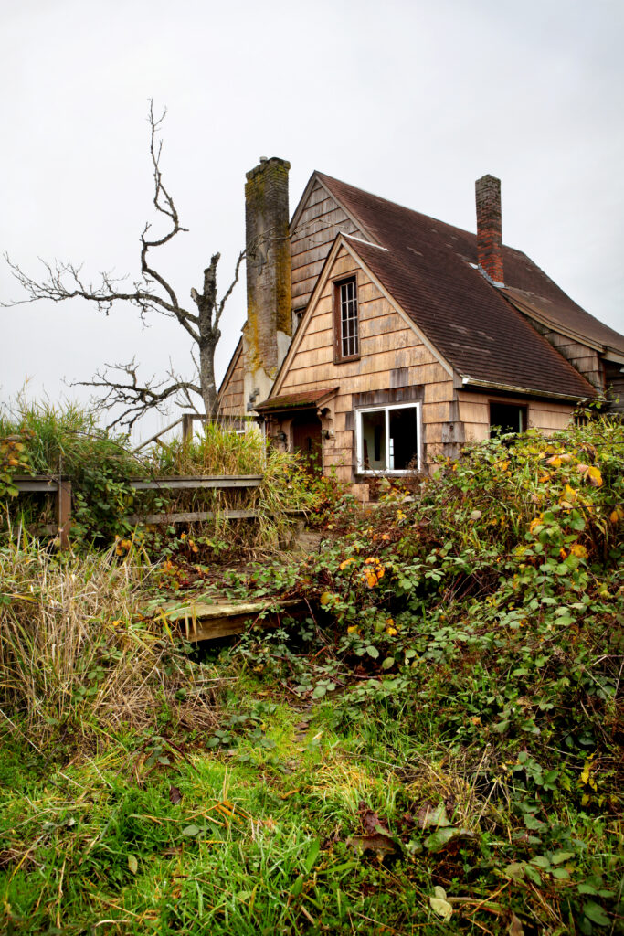 Weathered cedar-shingle house surrounded by overgrown vegetation and bare trees.